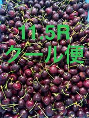 アメリカンチェリー 11.5R 箱込8.8キロ程度