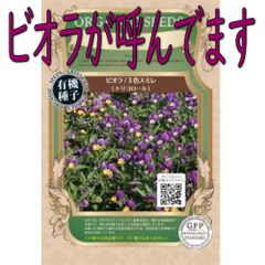 【ポスト投函便】グリーンフィールドプロジェクト　ビオラ　3色スミレ トリコロール【有機種子・固定種】　ハーブ　春秋