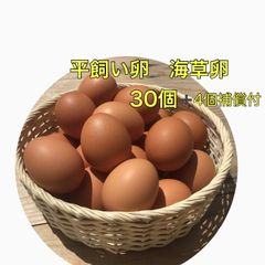 平飼い卵