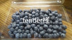 fender様ブルーベリー🫐