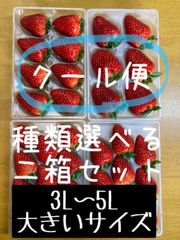 クール便　選べる二箱セット　3L〜5L 大きいサイズ　古都華　ならあかり　いちご