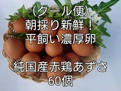 （クール便）朝採り新鮮お届け！平飼い濃厚卵　純国産赤鶏あずさ60個