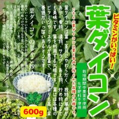葉ダイコン（葉大根、大根菜）　☆農薬や化学肥料は使用しておりません　埼玉県産　約７５０ｇ