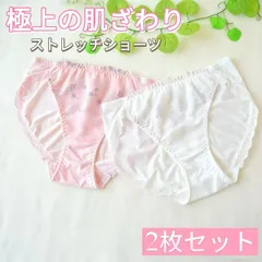 【2枚セット】ストレッチショーツ レディース ショーツ ストレッチ M L LL 送料無料 縦横によく伸びる スタンダード 女性 パンティー パンティ パンツ レース 下着 快適 フィット 伸縮 セット 抜群 美尻 可愛い かわいい 刺繍