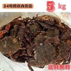 冷凍ヤドカリ60個 冷凍イソガニ50匹 石鯛 黒鯛 釣り餌 - メルカリ