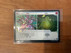 Flesh and Blood FAB SEA 常咲　生命