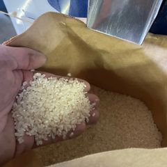 コシヒカリ2kg／古代米150g