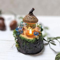 どんぐりランプ　〜ウェルカム〜キノコと蝶とキラキラお花〜  LED照明　ドールハウスにも
