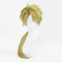 【1～3日以内に発送！】コスプレ耐熱ウィッグ ゴールド ロング ウィッグ ◆文豪ストレイドッグス/国木田独歩 ◆あんさんぶるスターズ！/羽風薫 等