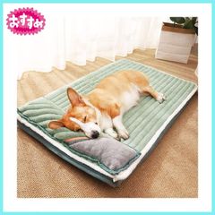 枕付きの噛み付き防止ペットベッド、洗える犬ベッド、猫 ベッド、犬ソファ、犬と猫クッション,犬スリーピングパッド'小型、中型、大型のペットに適していますペットマット(M-67 * 47 * 4.5cm, ライトグリーン)
