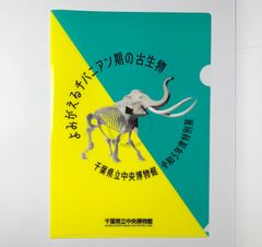 千葉県立中央博物館 クリアファイル 令和5年度特別展