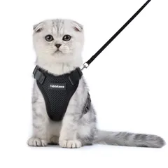 Rabbitgoo 猫 ハーネス リード セット 小型犬 犬猫兼用 抜けない はーねす ソフト胸あて 軽量 足を上げず装着完成 サイズ調節可 ネコ 散歩 紐 夜反射 通気メッシュ 咳込み防止 胴輪 ベスト りーど（黒 XSサイズ）