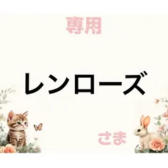 専用