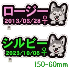 ゆかりん様専用★