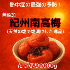 価格高騰！農家直送！紀州南高梅 2kg 無添加 和歌山 紀州 白梅