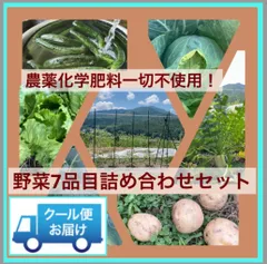 【農薬化学肥料一切不使用】①むらざと自然農園から直送！野菜7品目＋おまけ詰め合わせセット　岐阜県加茂郡白川町黒川　農薬化学肥料一切不使用　野菜ボックス