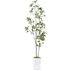美品⭐フェイクグリーン プリマ マグノリア スリムプランター 観葉植物