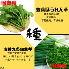 №4【野菜の種】人気者！　次郎丸ほうれん草浅黄九条細ネギ　固定種　種子セット