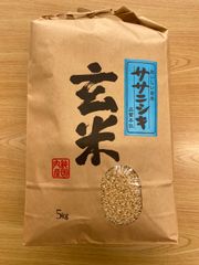 宮城県産ササニシキ　玄米5キロ