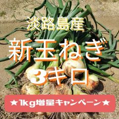 淡路島産　新玉ねぎ3ｋｇ