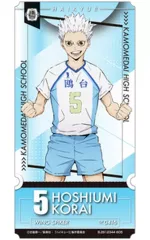 【中古】キャラカード 星海光来 「ハイキュー!! チケットライクコレクション」