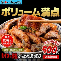 2024年最新】鰻丼の人気アイテム - メルカリ