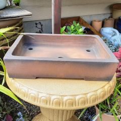 一陶園 大型盆栽 常滑焼