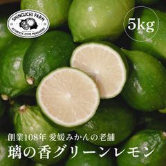 愛媛県産 璃の香 グリーン レモン 5kg【種が少ない】【防腐剤・ワックス不使用】【送料無料】農家直送 創業108年 愛媛みかん の老舗 新口農園