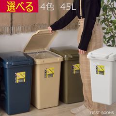 ゴミ箱 ふた付き 45L 日本製 完成品  ベージュ グリーン  グレー ネイビー W34.1×D45×H57.5cm  完成品 ポリプロピレン