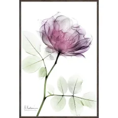 2025年最新】薔薇の耳飾りの人気アイテム - メルカリ