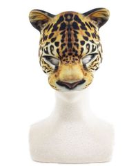 アニマルマスク ヒョウ 豹 肉食 サバンナ 草原の王者 キャラクター アニメ 映画 動物