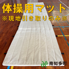 体育・体操マット（大）