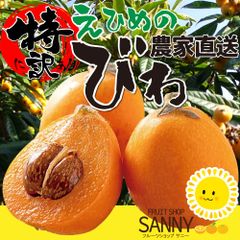 びわ ビワ 愛媛産 特に訳あり（シミ・小傷あり その分大特価）約1.0kg 【沖縄・北海道・離島 発送不可】