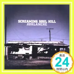 2025年最新】AVALANCHE CDの人気アイテム - メルカリ
