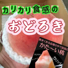 山形県産　希少品種　硬い桃　おどろき　硬桃　桃　モモ　もも