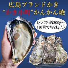 【広島ブランド牡蠣「かき小町」のかんかん焼き】殻付の広島牡蠣（冷凍）約２㎏入