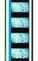 2025年最新】Freeコマフィルムの人気アイテム - メルカリ