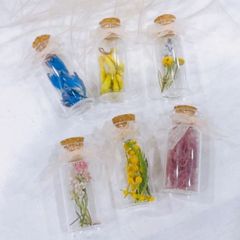 小瓶6個セット小さなボトルフラワー植物標本　ミモザ　スモークツリー