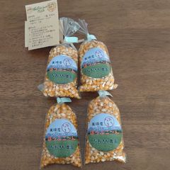 美瑛産 はじける！香ばしいポップコーン【1袋(100g)×4】