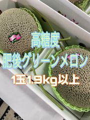 肥後グリーンメロン　2玉入り 4Lサイズ