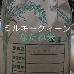 《新米》　令和4年度　農薬不使用有機ミルキークィーンなたね米　10キロ玄米