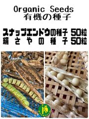 スナップエンドウ（固定種）と絹さや（グリンピース・固定種）の種、各 50 粒セット 有機種子・無農薬無化学肥料栽培のタネ