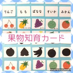 果物知育カード　神経衰弱　絵合わせ　シルエットクイズ　モンテッソーリ 知育玩具
