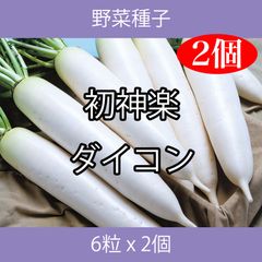 野菜種子 TVF04 初神楽ダイコン 6粒 x 2個