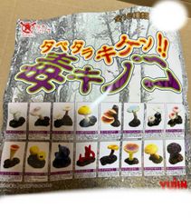 誤飲シリーズ タベタラキケン 毒キノコ 全16種セット yujin ガシャポン タベタラキケン!!毒キノコ｜商品情報｜タカラトミーアーツ