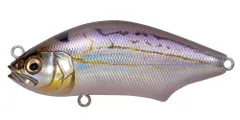 メガバス ハダラトラップ 2個セット