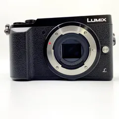 2025年最新】LUMIX DMC-GX7MK2の人気アイテム - メルカリ