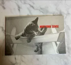 BANANAFISH 復刻版　奥村英二 写真集 NEW YORK SENSE　Eiji Okumura photo book