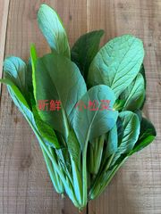 新鮮❗️小松菜🥬　クール便