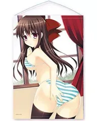 【中古】タペストリー 水原妃菜 B2タペストリー 「ガールズストライク」のサムネイル
